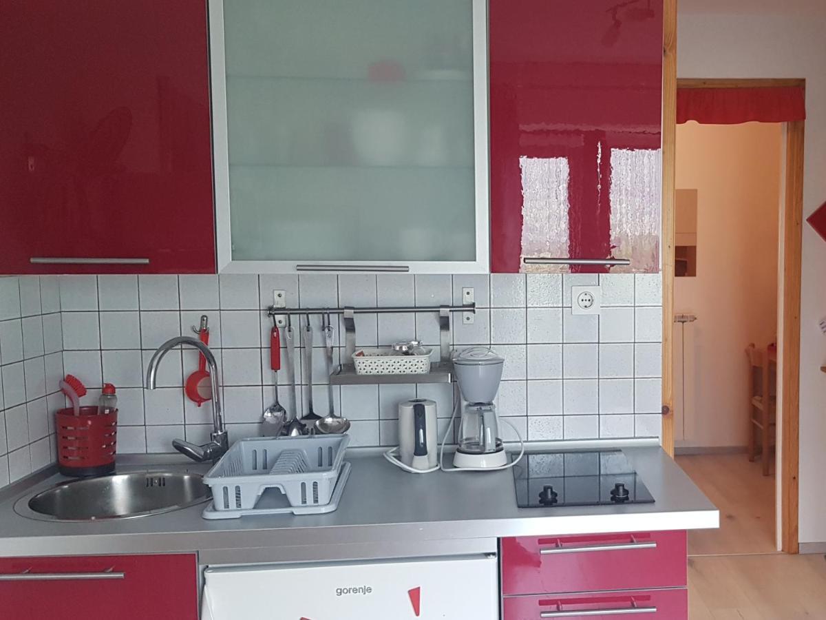 Apartments Tatjana Bovec Værelse billede