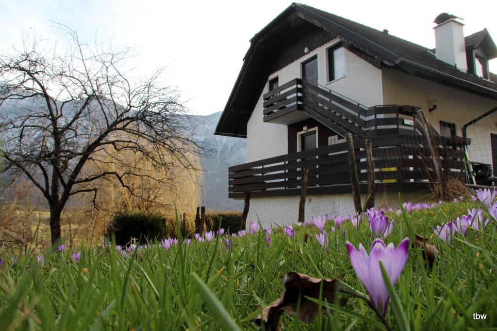 Apartments Tatjana Bovec Eksteriør billede