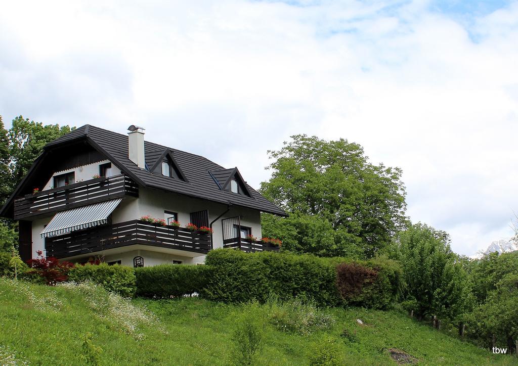 Apartments Tatjana Bovec Eksteriør billede